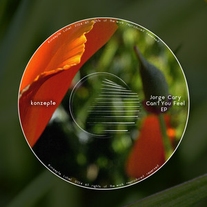 Can't You Feel (Original Mix)