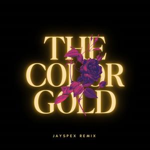 The Color Gold (feat. Gary Haygo) [Radio Edit]