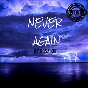 Never Again (Explicit)