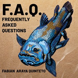 Frequently Asked Questions