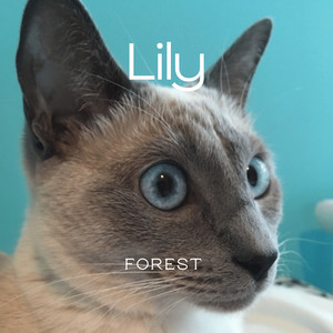 Lily