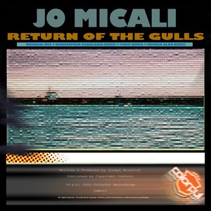 Return Of The Gulls (Original Mix)