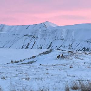 Rainfall (feat. indapond) (Explicit)