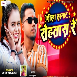 Jila Hamar Rohtas Re