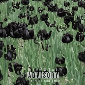 Datura Noir Freestyle[Prod.Gage]