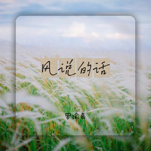 风说的话