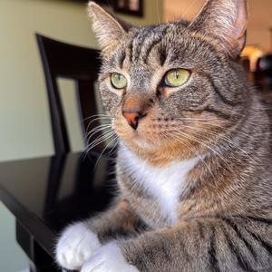 Drive Me Crazy (Explicit)