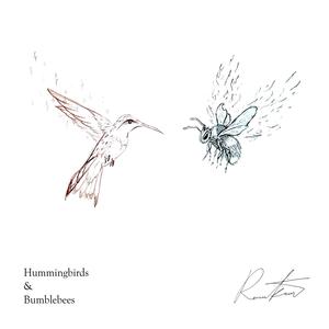 Hummingbirds and Bumblebees