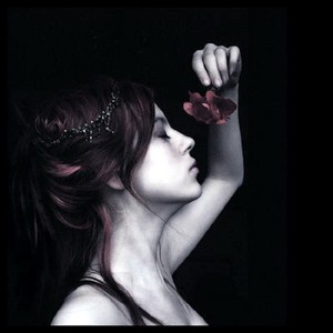 我们的幸福，哪去了 (伴奏)