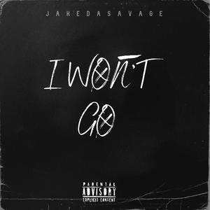 I Won't Go (Explicit)