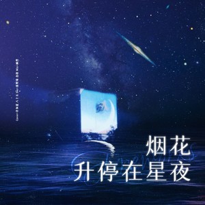 烟花升停在星夜