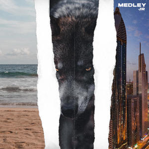 Medley (Explicit)