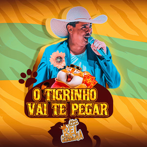 O Tigrinho Vai Te Pegar