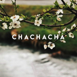 Chachachá (Live)