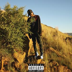 Hurt (feat. LetshohlaJr & Pro Black)