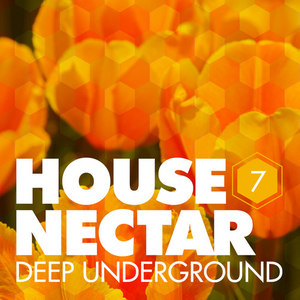 Underground House Nectar, Vol. 7