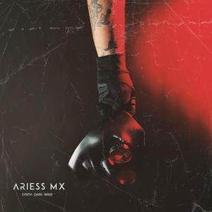 ARIESSMX Instrumental