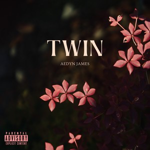 Twin (Explicit)