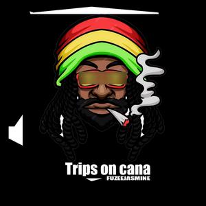 Trips on Cana