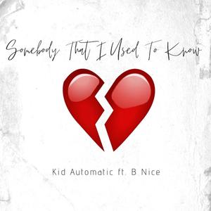 Somebody That I Used To Know (feat. BNice) (Explicit)