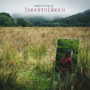 Bandera Blanca