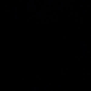 Skrilla Flow (Explicit)