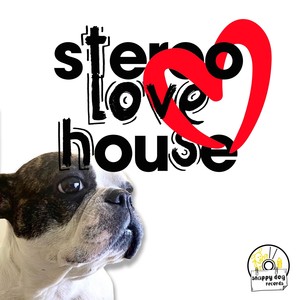 Stereo Love House