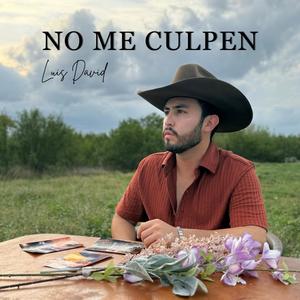 No Me Culpen