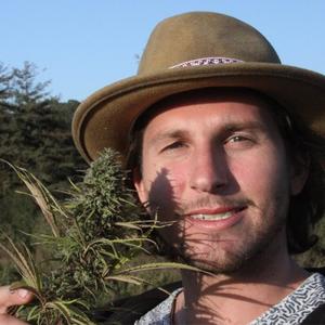 I Used To Work The Weed Farm