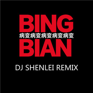 BINGBIAN病变 (SHENLEI remix|- Instrumental)