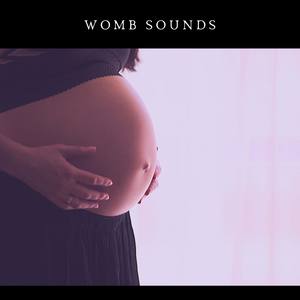 Womb Sounds