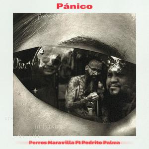 PANICO (feat. El Niña Pmk & Pedrito Palma) (Inédita)