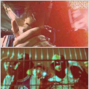 Nome : FREESTYLE محارب