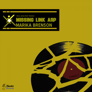 Missing Link Arp (Original Mix)