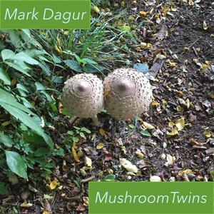 Mushroom Twins