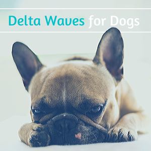 Delta Waves for Dogs: Anti-Anxiety Music for Dogs