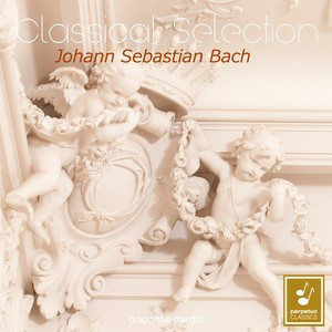 Württemberg Chamber Orchestra - Harpsichord Concerto No. 3 in D Major, BWV 1054 - II. Adagio e piano Sempre