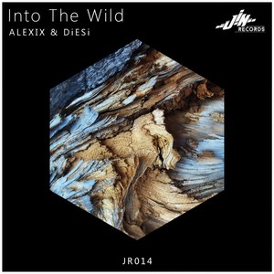 Into The Wild (Original Mix)
