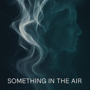 something in the air (feat. voxmute)