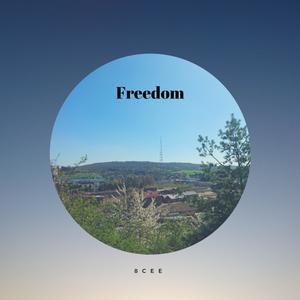 8cee - God Bless Your Life