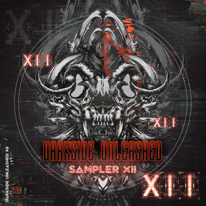 Darkside Unleashed Sampler XII (Explicit)