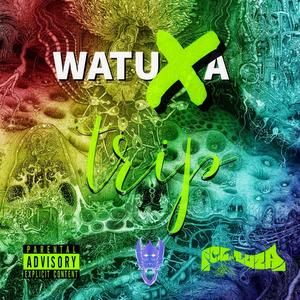 WATUXA TRIP (Dimme Ci Boi) [Explicit]