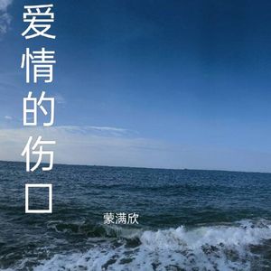 爱情的伤口