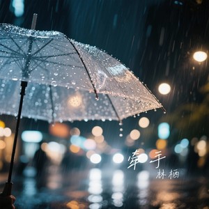 林栖 - 牵手 (深情烟嗓版)