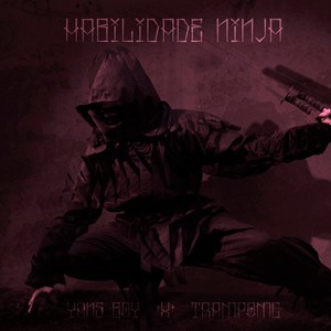 Habilidade Ninja (Explicit)