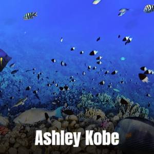 Ashley Kobe