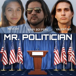 Mr. Politician