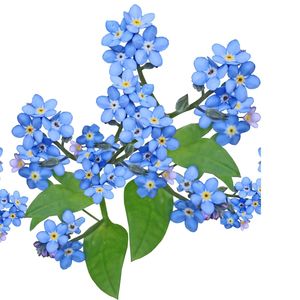 Money So Big (Slowed|Reverb)