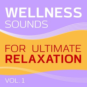 Wellness (Sounds for Ultimate Relaxation, Vol. 1)