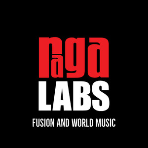 Raga Labs: Fusion and World Music